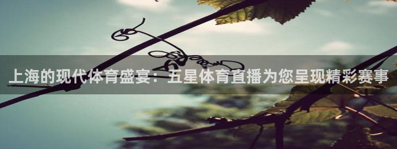 袋鼠体育免费直播观看：上海的现代体育盛宴：五星体育直播为您呈现精彩赛事