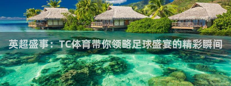袋鼠直播nba免费观看篮球：英超盛事：TC体育带你领略足球盛宴的精彩瞬间