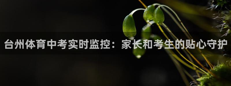 袋鼠直播nba在线观看：台州体育中考实时监控：家长和考生的贴心守护