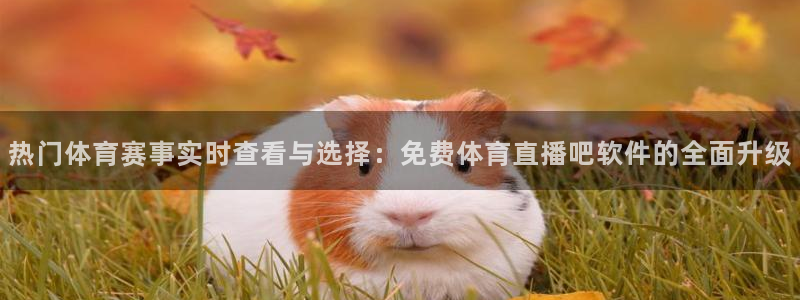 袋鼠足球免费直播：热门体育赛事实时查看与选择：免费体育直播吧软件的全面升级