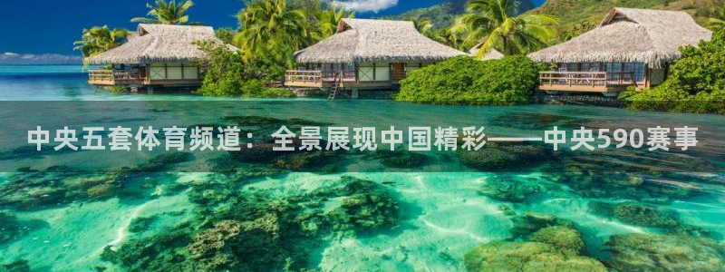 袋鼠直播体育：中央五套体育频道：全景展现中国精彩——中央590赛事