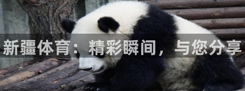 袋鼠直播nba免费观看足球：新疆体育：精彩瞬间，与您分享
