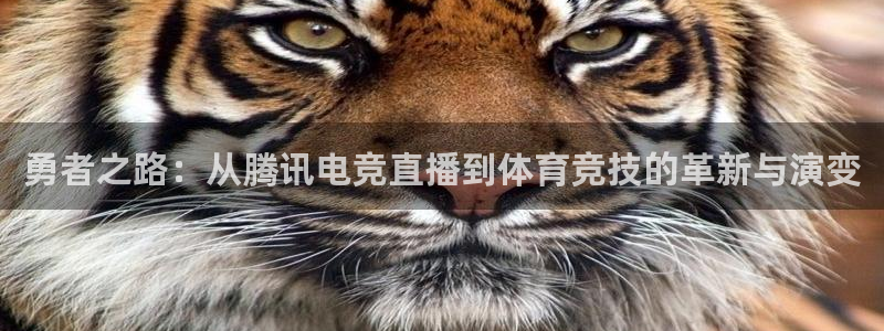 袋鼠体育足球直播：勇者之路：从腾讯电竞直播到体育竞技的革新与演变