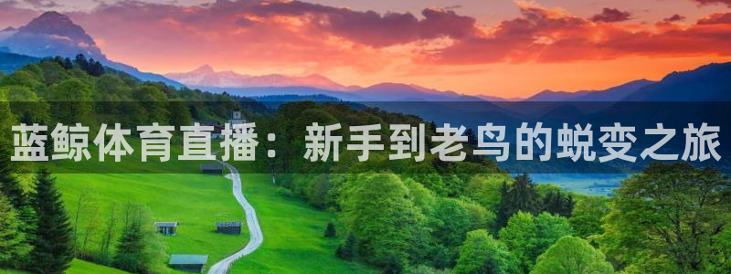袋鼠nba直播：蓝鲸体育直播：新手到老鸟的蜕变之旅