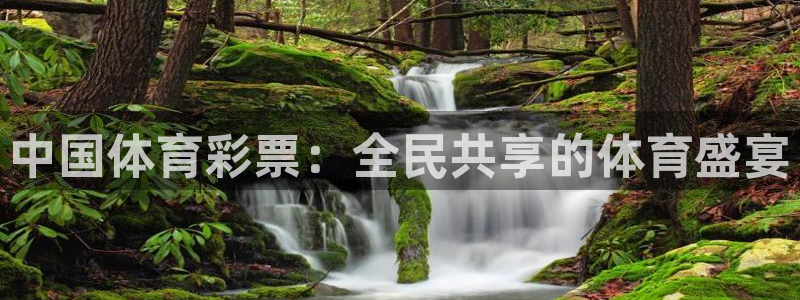 nba袋鼠直播：中国体育彩票：全民共享的体育盛宴