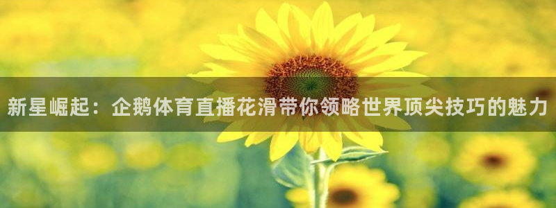 袋鼠足球直播：新星崛起：企鹅体育直播花滑带你领略世界顶尖技巧的魅力