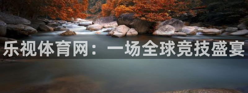 袋鼠体育直播在线观看：乐视体育网：一场全球竞技盛宴