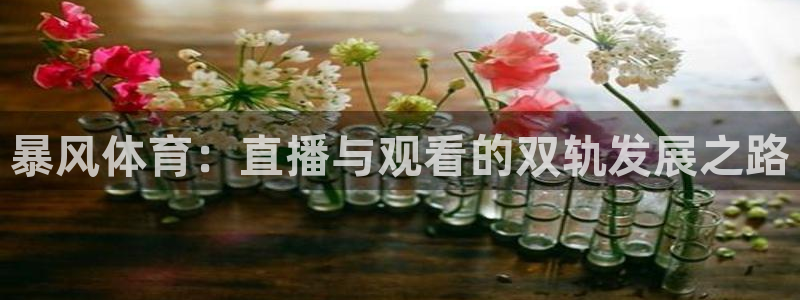 袋鼠直播体育发布v14版本.一键得好礼.org